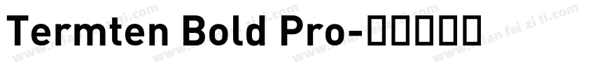 Termten Bold Pro字体转换